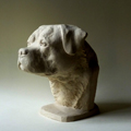 Rottweiler - projekt statuetki dla Arte Perruno