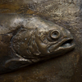 „Ryba”,materiał: brąz patynowany; wymiary: 24x40