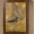 z cyklu „Owady”; materiał: brąz patynowany, drewno; wymiary: 37x57cm; płaskorzeźba wykonana w technice na wosk tracony